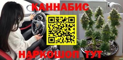 прущие крисы Кулебаки