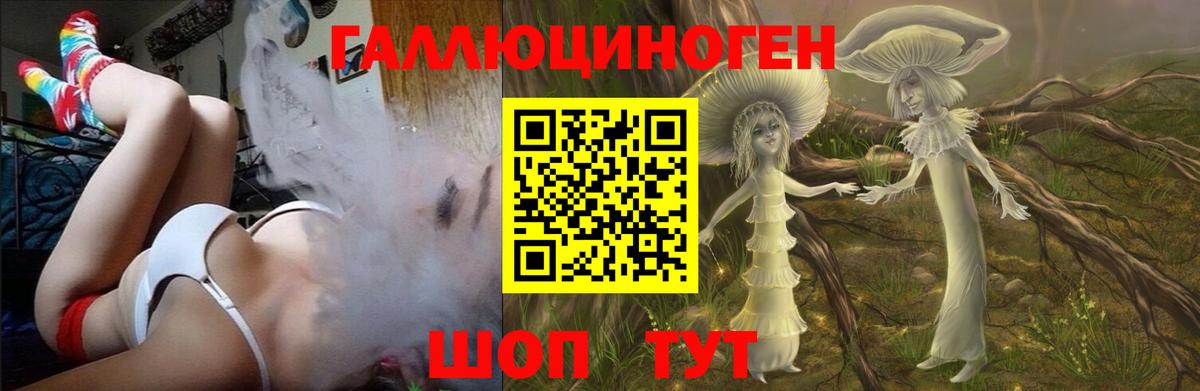 Галлюциногенные грибы Psilocybe  купить закладку  Южно-Сахалинск  Галлюциногенные грибы MAGIC MUSHROOMS  Вход с VPN 